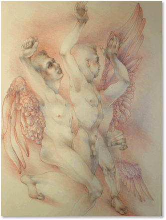 Winged Obsessions